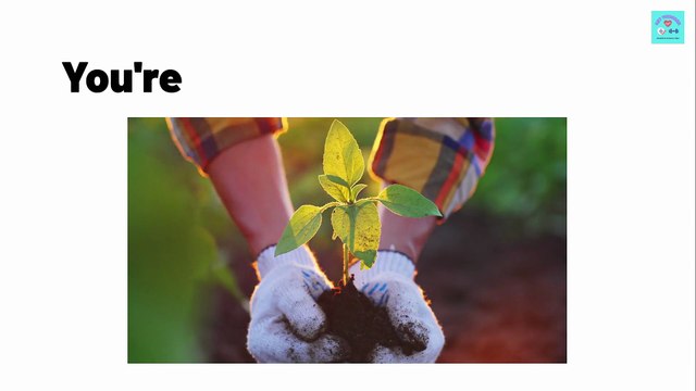 Backyard Healing Herbs by Mary Swanson 2025 Review: Grow Your Family’s Natural Medicine Garden