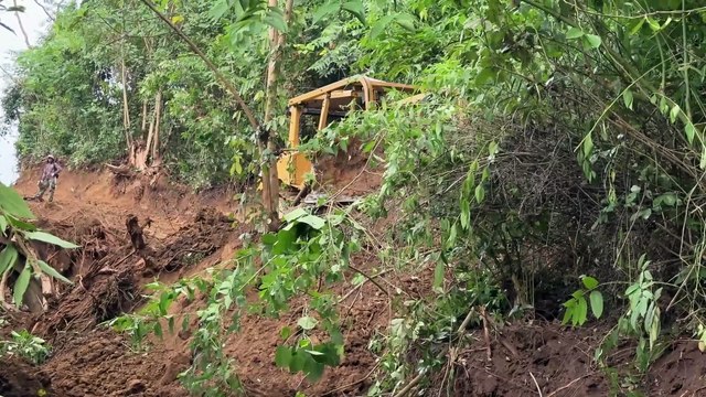 After Clearing the Road, the D6R XL Bulldozer Tidies Up the Mountain Plantation Road