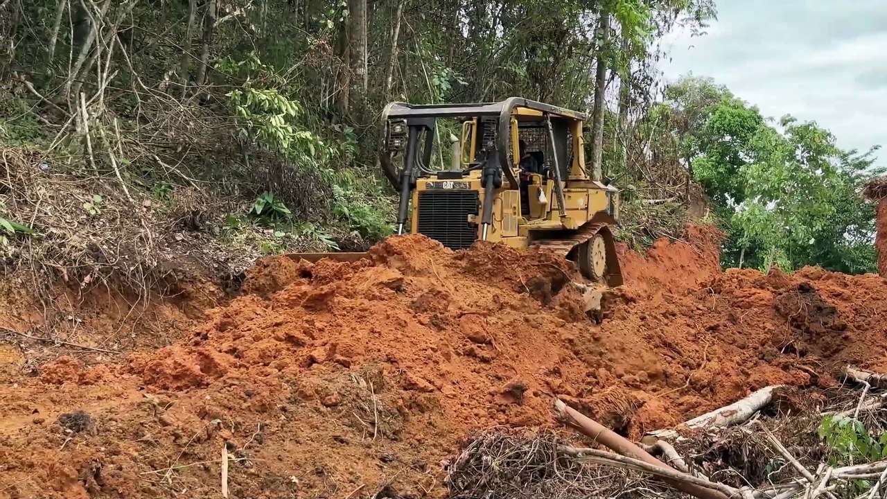 Quickly Clearing the Road with a D6R XL Bulldozer on the Plantation
