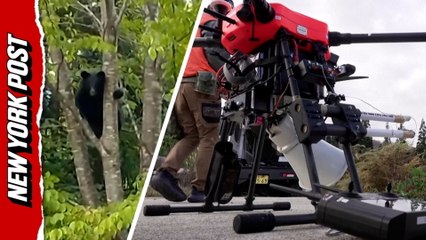 'Barking' drones take flight as Japan battles increasing bear attacks