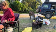 Camping in Australia