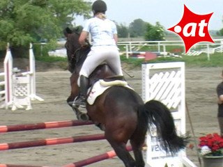 Esther Gmall, Springreiten, Kottingbrunn (2008-028)