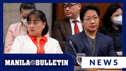 Curlee Discaya names House lawmakers, officials contained in kickback ledger