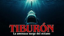CXBVXBVXCBV