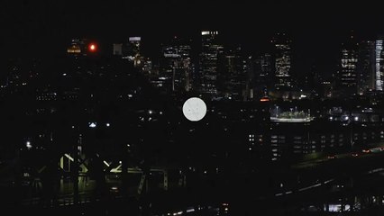 Boston Blue 1x06 Season 1 Episode 6 Trailer - Code of Ethics