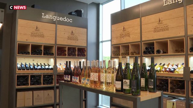 Filière viticole : les professionnels dans la rue pour dénoncer le manque de soutien politique