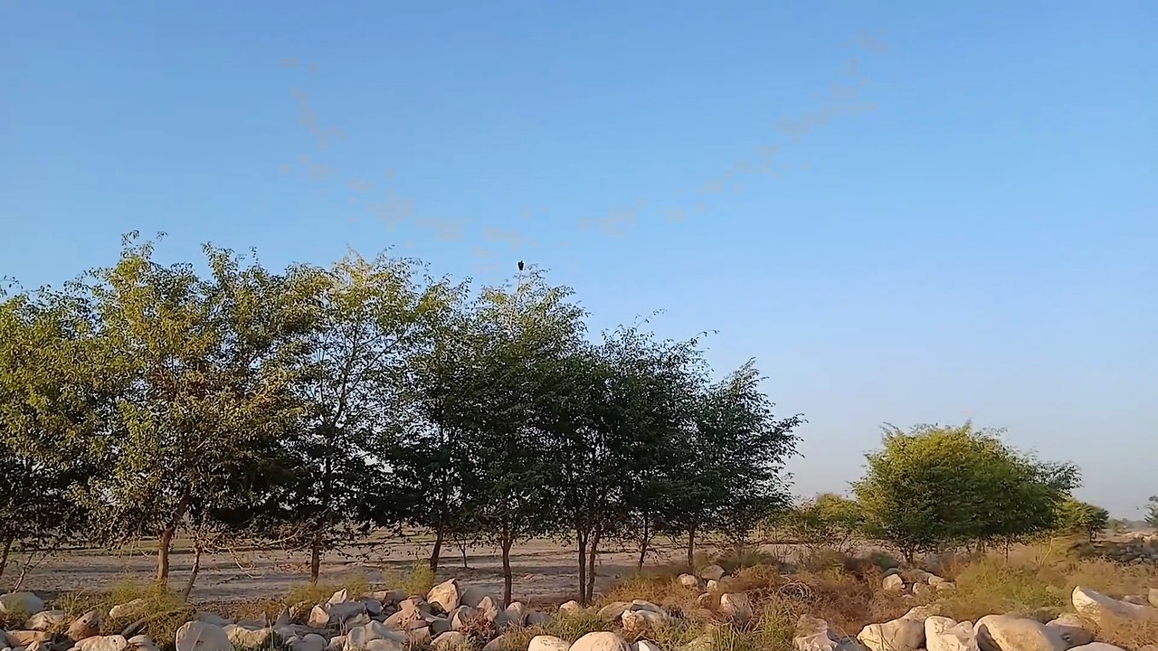 Beautiful natural view