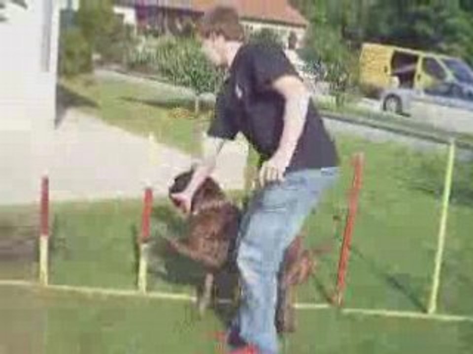 Slalom