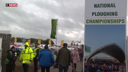 Empreinte carbone : l’Irlande mise sur les champs