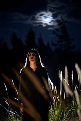 Rainforest Magic: Where Nature Comes Alive