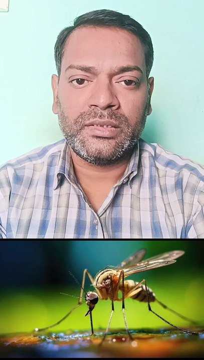 प्लेटलेट्स कम होने पर ये जांच कराएं ।