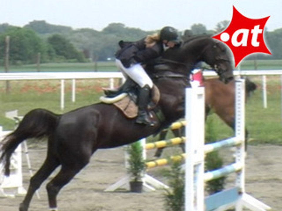 Cornelia Zwinz, Springreiten, Kottingbrunn (2008-030)