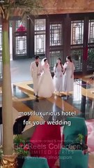 Spring Wind Embraces The Moon