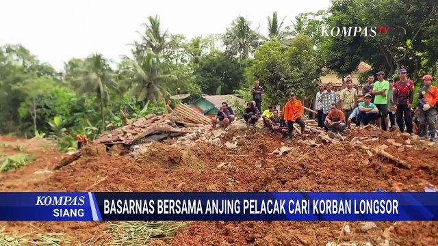 Aksi Anjing Pelacak Bantu Basarnas Cari Korban Tertimbun Longsor di Cilacap | KOMPAS SIANG