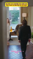 28 Days with the Alpha | DramaWave