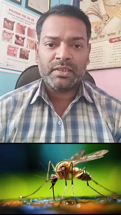 डेंगू मच्छर किस में पनपता है ।