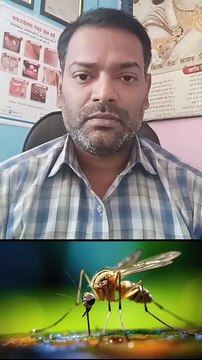 मलेरिया मच्छर किस में पनपता है ।