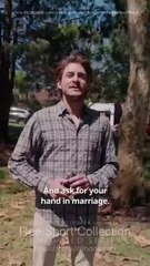 The Elite Heir’s Ultimate Comeback - Full Movie