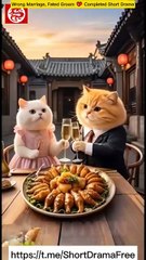 Wrong Marriage, Fated Groom 💖 Completed Short Drama