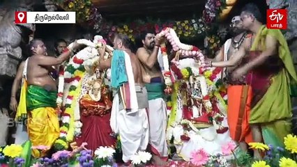 நெல்லையப்பர் கோயிலில் திருக்கல்யாணம்! பக்தர்கள் சாமி தரிசனம்!