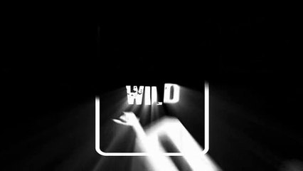 Letter From An Unknown Woman