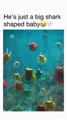 Harley Quinn’s Funniest Trallilelo Trallala Scene #new #viral #trending