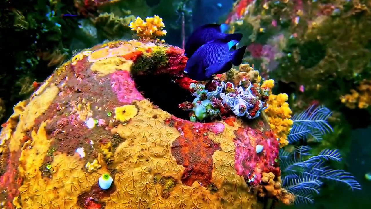 INSANE 16K Video _ Dolby Vision 16K HDR ULTRA HD 120 fps (8K_4K TV)