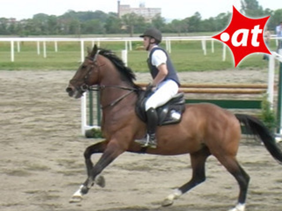 Klemens Zak, Springreiten, Kottingbrunn (2008-031)