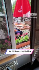 Pigeon Steals Pizza From Sleeping Man in Hilarious Viral Moment|| Heartsome 💖