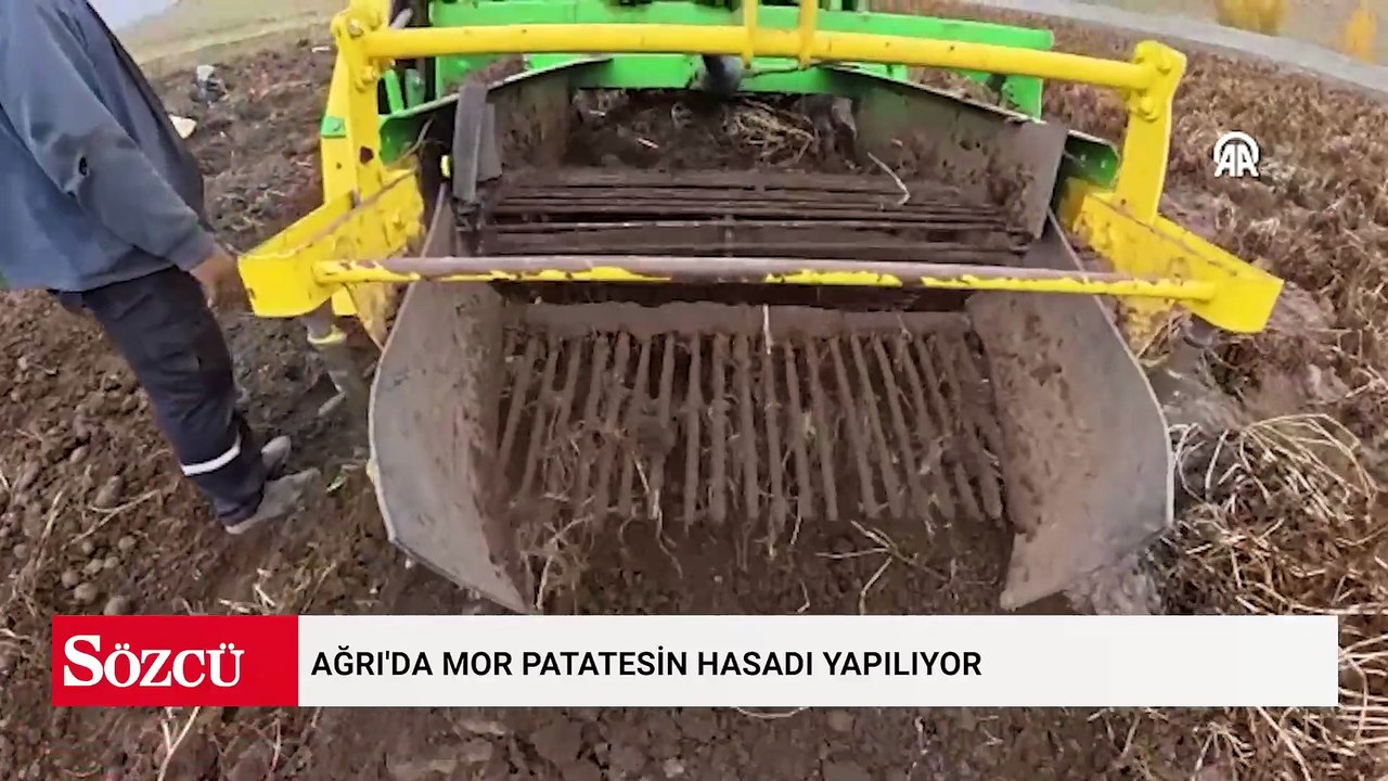 Ağrı’nın Patnos ilçesinde başlayan yoğun hasat mesaisi dikkat çekiyor