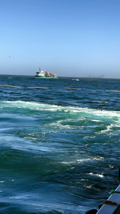 Fast fishing systems 🌻Nature , Ocean and Fishing