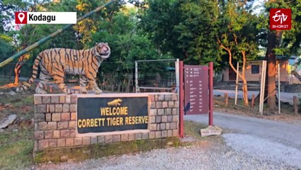 Dhikala Zone Of Jim Corbett National Park Reopens, Tourists Thrilled For First Safari Of Season