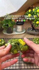 Where are my matcha lovers🥹So easy to make and a beautiful summer desser idea!