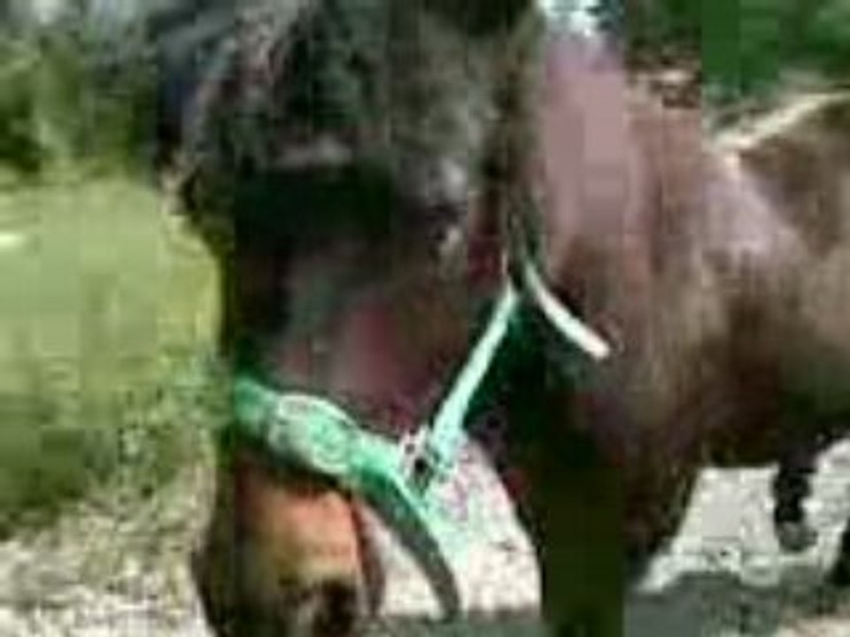 Fino balade en lib 2