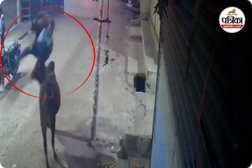 सांडों का आतंक जारी