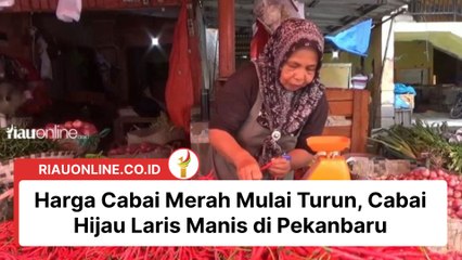 Harga Cabai Merah Mulai Turun, Cabai Hijau Laris Manis di Pekanbaru
