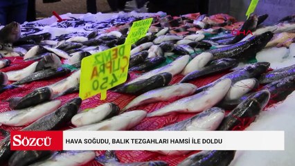 Hava soğudu, balık tezgahları hamsi ile doldu