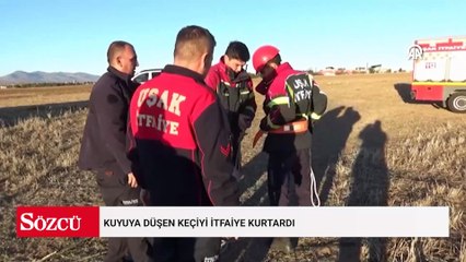 Kuyuya düşen keçiyi itfaiye kurtardı