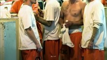 Voici les 7 gangs de prison les plus meurtriers -