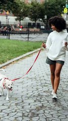 Girl Walking Her Dog | Cute Dog Walk Moment | Trending Pet Video