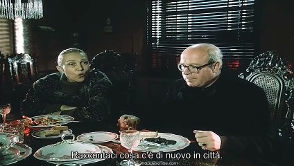 The Museum Visitor (1989) (sub ita)