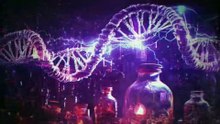 WWE Evolve 12 November 2025  Full show