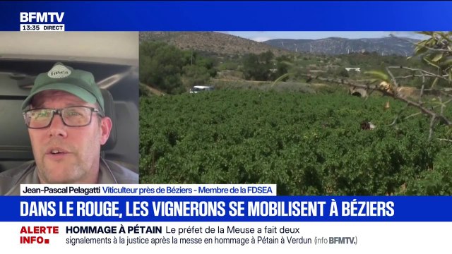 Crise viticole: On n'a plus le temps d'attendre , se désole Jean-Pascal Pelagatti, viticulteur et membre de la FDSEA, alors que va s'élancer la manifestation des vignerons à Béziers