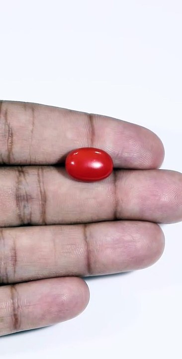 Red​‍​‌‍​‍‌​‍​‌‍​‍‌ Coral – The Gemstone of Strength and Passion