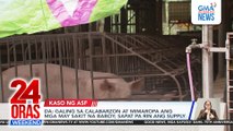 Disinfection sa mga tindahan ng lechon, nagpapatuloy | GIIT QC LGU, isolated ang mga kaso | 24 Oras Weekend
