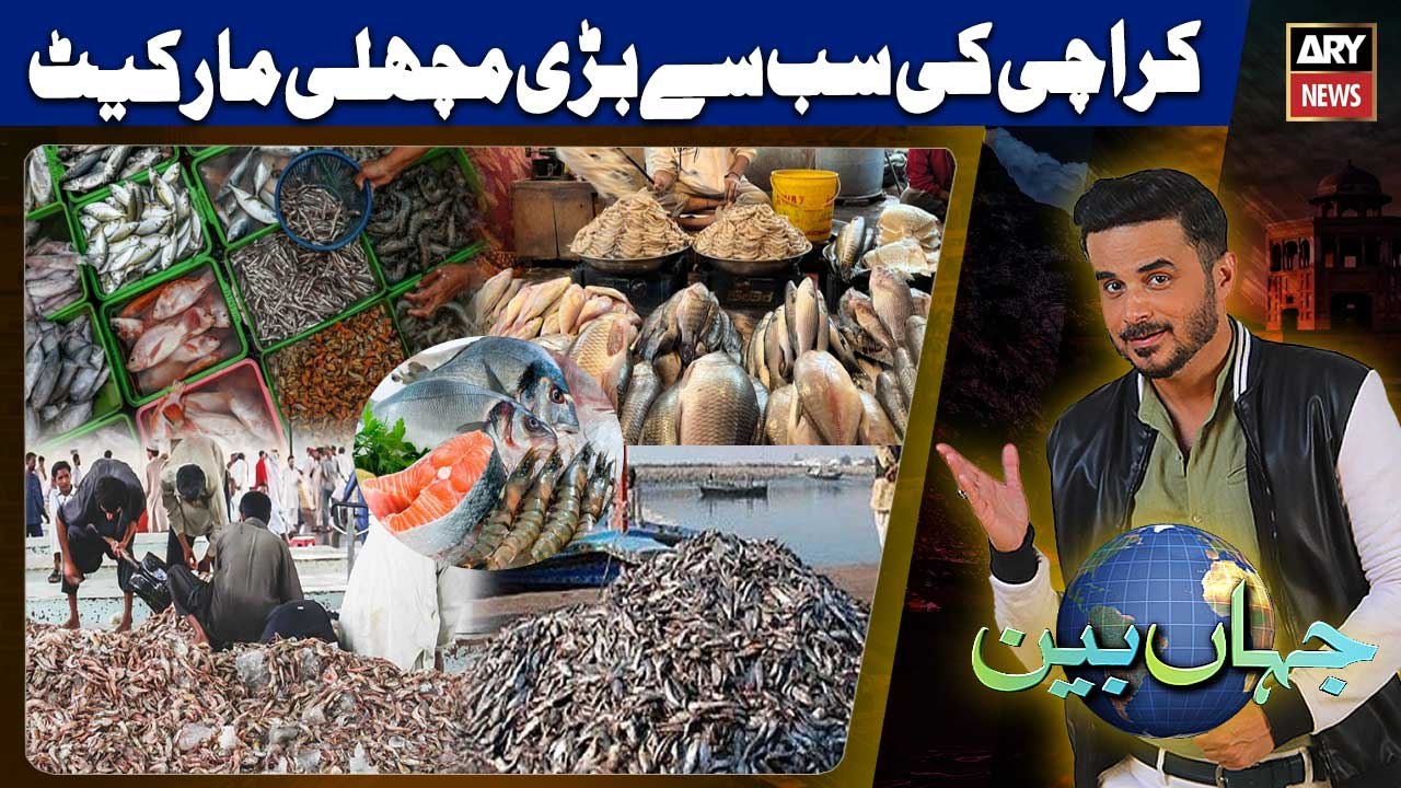 Karachi Fish Harbour | Pakistan's Biggest Fish Market | Jahan Bean - 15th Nov 2025
