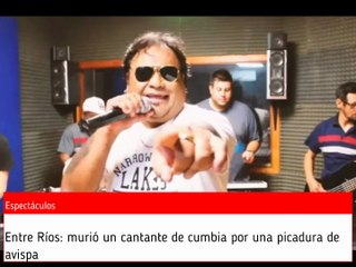 Entre Ríos: murió un cantante de cumbia por una picadura de avispa