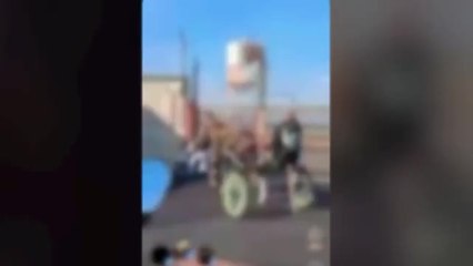 Il calessino col cavallo spronato dagli scooter in corsa: «Prove di corse clandestine»