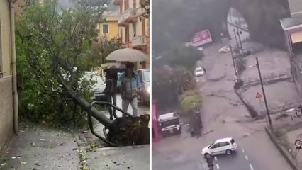 Tromba d'aria a Genova: crolla muro a Pegli, danni in tutto il ponente