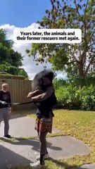 Phillies land All-Star closer Jhoan Duran ahead of MLB trade deadline 👀🔥 #JhoanDuran